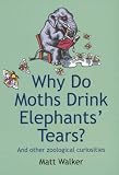 Why Do Moths Drink Elephants` Tears?: And Other Zoological Curiosities