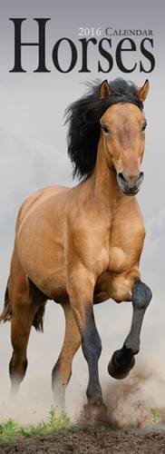 Horses Slim Calendar 2016