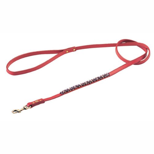 Detail image Amethyst Mini Beads Leather Dog Leash - Red