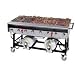 Search : Grillco GC-LP Stainless Steel Propane Gas Grill With Nickel-Plated Cooking Grates