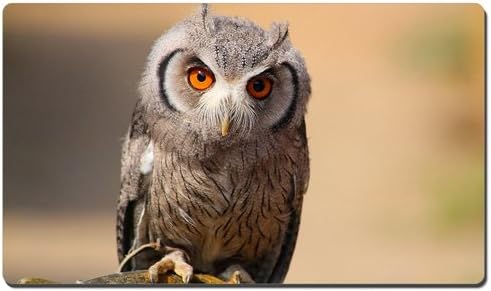 Scops Owl XL Size Mouse Pad,Gaming Mouse Pad Mat (13.5x23.5 inches)