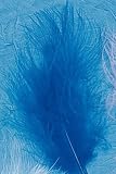 Plume Duvetee Bleu - Sachet De 15