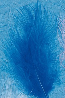 Plume Duvetee Bleu - Sachet De 15