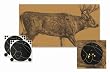 Shoot-N-C Targets: Sight-In & Specialty Shoot-N-C Deer Target Kit