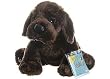 Webkinz Chocolate Lab