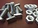 Greenhouse Crop-Head Bolts  Nuts (10)