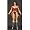 Wonder Woman New 52 DC Universe Unlimited Action Figure (preOrder)