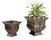 Set of 2 Square Base Brown Fleur De Lis Garden Planters