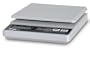 Pelouze PE5 5-lb.Straight Weigh Digital Postal Scale, 5-7/8 x 5-7/8 Platform