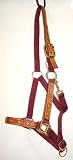 NEW 2Ply Nylon Halter w/ Fancy Gold Overlay