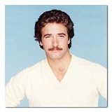 Lee Horsley Color Box Canvas Print Gallery Wrapped - 12x12 Inches (Matt Houston)