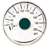 Rol-Air GA0125200GC 1/8" Back Mount Gauge; 0-200 PSI