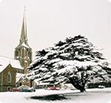 The twin churches book : Wexford, 1858-2008