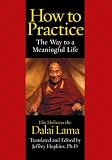 How to Practice : The Way to a Meaningful Life