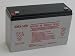 Datasafe (formerly Yuasa) NPX-50T- 6 Volt/12 Amp Hour Sealed Lead Acid Battery with .250 Fast-on Connector