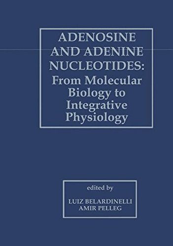 Adenosine and Adenine Nucleotides: From Molecular Biology to Integrative Physiology (1995-03-31)