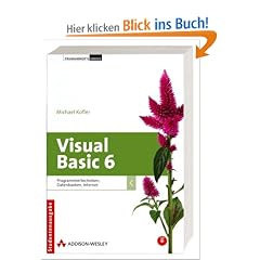 Visual Basic 6, m. CD-ROM