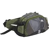 High Sierra Express Lumbar Pack (Amazon,Tungsten, Charcoal)