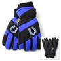 Indianapolis Colts Nylon Shell Thinsulate Lined Ski Gloves