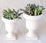 solxsol �����A�� Decorative stand pot set 10904