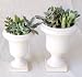 solxsol �����A�� Decorative stand pot set 10904