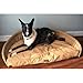 Abo 20610 Adelaide Chocolate Xlarge Home Bed For Pet Cotton