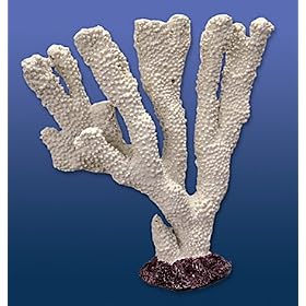 Nature's Image Artificial Corals: Pocillopora White by 