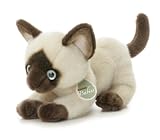 Aurora Plush 12 Cleo, Aurora Babies Siamese Kitten