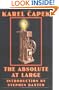 The Absolute at Large (Bison Frontiers of Imagination)