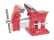 Home Vise - 3-1/2 Inch