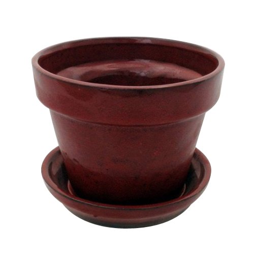 Border Concepts 11950 Standard Pot with Attached Saucer, 81/4Inch