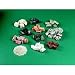 Rock Survey Set of 55