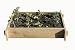 2 Ft. x 3 Ft. Raised Garden Planter Box; Shaker Style