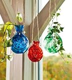 Glass Rooting Jar - Outdoor Garden and Patio - Hanging Rooting Jars
