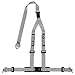 Sparco 04608DFSGR Belt 2 Inch Silver 3Pt Dbl Rel