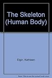 The human body, the skeleton