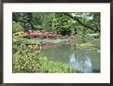 Japanese Garden, WAshington Park Arboretum, WA Framed Photographic Poster Print by Mark Windom, 29x21