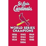 AFSCC Cardinals Championships 44x28 Applique Banner