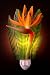 Tropical Bird of Paradise Floral Hand Painted Night Light