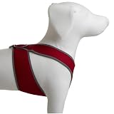 Cloak & Dawggie Step-N-Go Sport Sneaker Mesh Red XXS