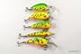 Lot of 5 Color Themed Fishing Lures for Bass/Trout