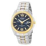 Citizen Men's BL1224-55L Eco Drive Two-Tone Watch