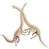3-D Wooden Puzzle - Diplodocus 2 In 1 -Affordable Gift for your Little One! Item #DPUZ-1236