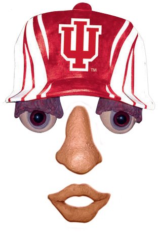 Indiana Hoosiers Forest Face