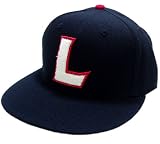 LRG - LRG Sleeping Beast Fitted Hat