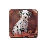 Dalmatian Puppy Rubber Square Coaster (4 pack)