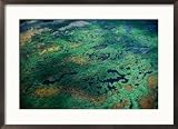 Aerial View of Wetlands, Everglades National Park, USA Collections Framed Art Poster Print by Jim Wark, 29x21