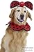 Pet Lady Bug Dog Halloween Costume For Large Dogs