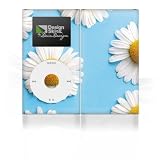 Design Skins for Apple iPod Mini - Daisies Design Folie