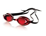 Speedo GCG Plus Mirrored Swim Goggle (Black/Maroon)